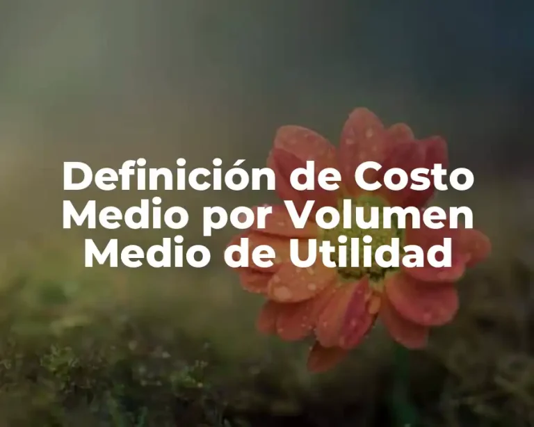 Definición de Costo Medio por Volumen Medio de Utilidad