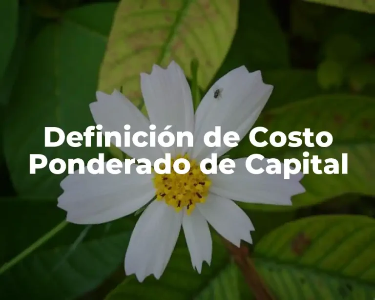 Definición de Costo Ponderado de Capital
