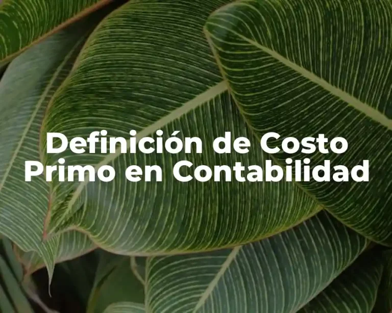 Definición de Costo Primo en Contabilidad