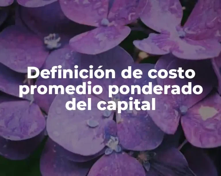Definición de costo promedio ponderado del capital