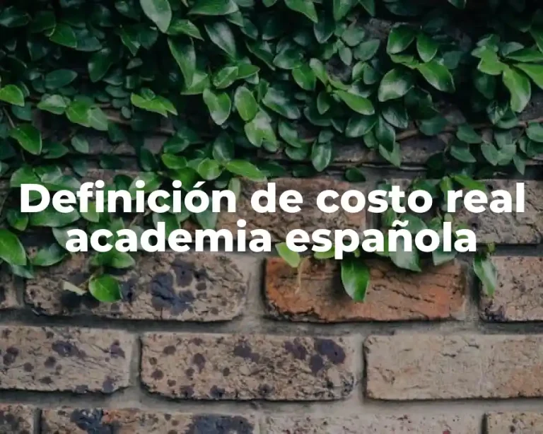 Definición de costo real academia española