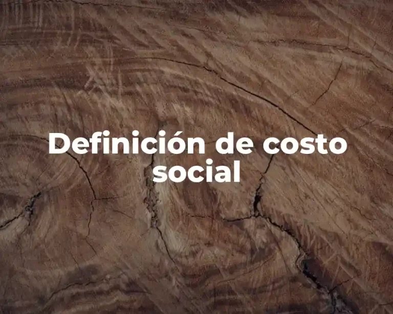 Definición de costo social