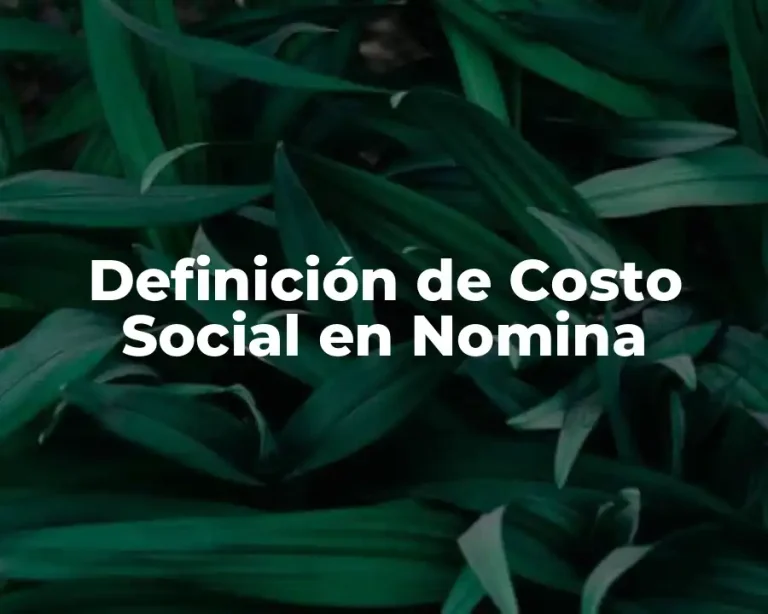 Definición de Costo Social en Nomina
