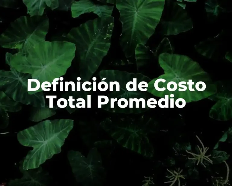 Definición de Costo Total Promedio