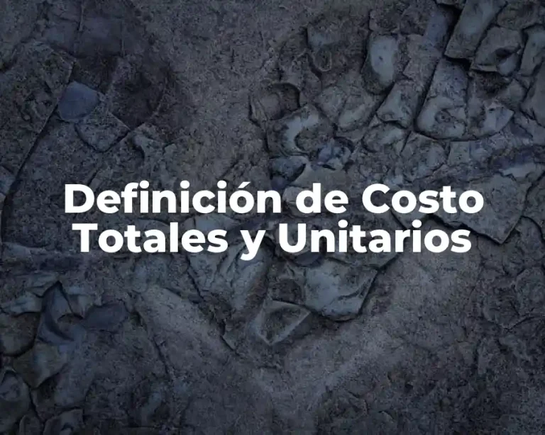 Definición de Costo Totales y Unitarios