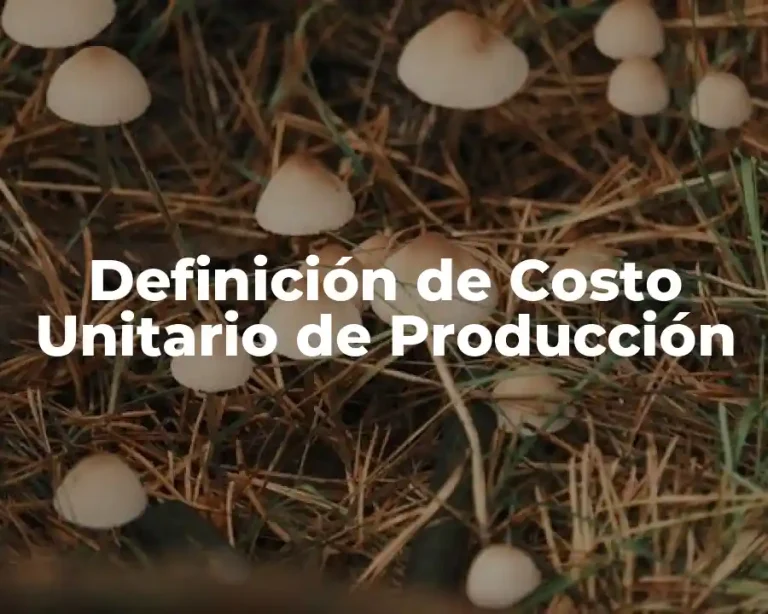 Definición de Costo Unitario de Producción