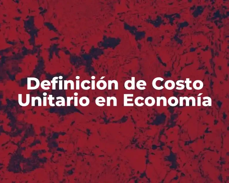 Definición de Costo Unitario en Economía