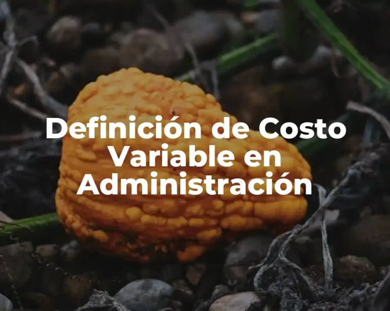 Definición de Costo Variable en Administración