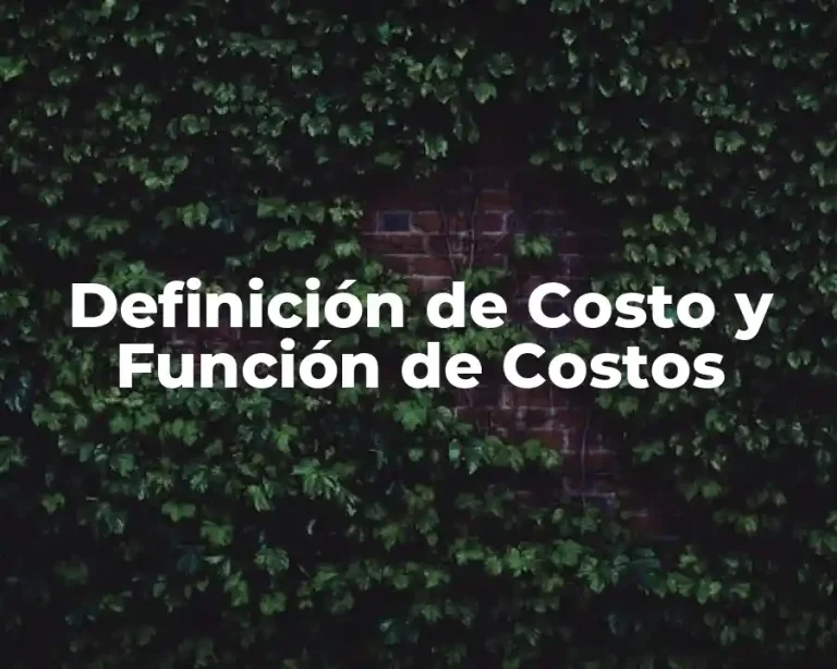 Definición de Costo y Función de Costos