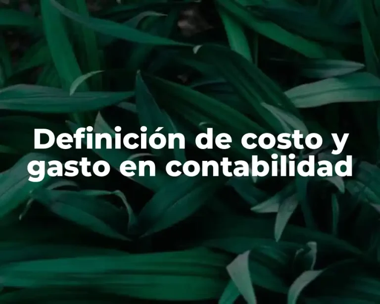 Definición de costo y gasto en contabilidad