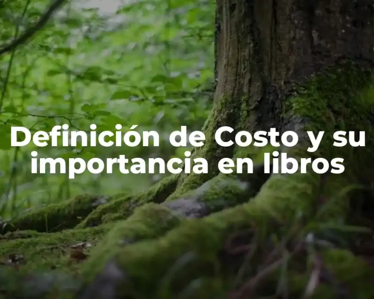 Definición de Costo y su importancia en libros