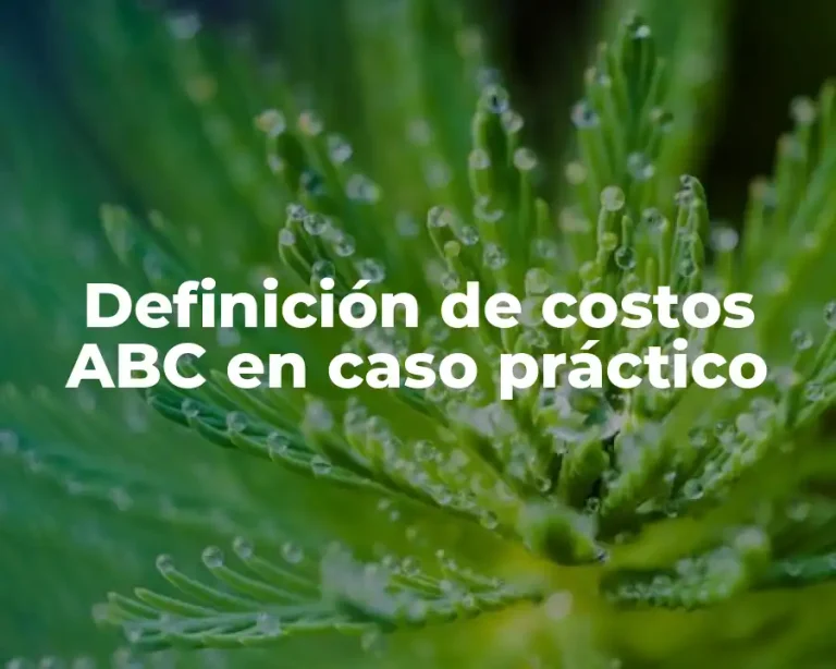 Definición de costos ABC en caso práctico