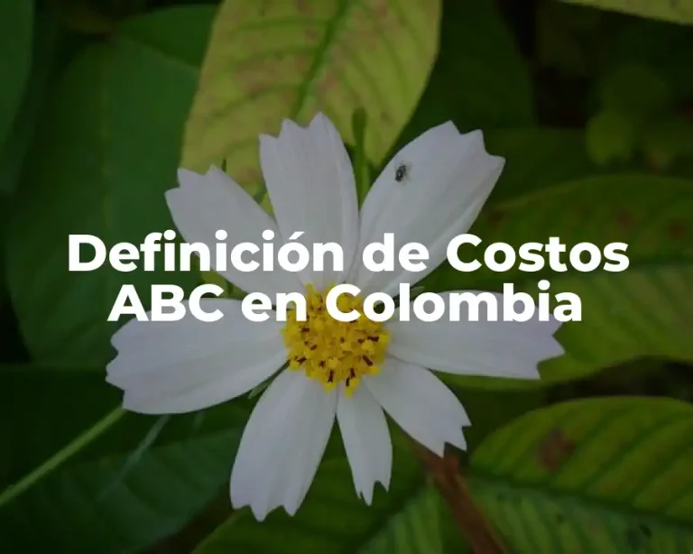 Definición de Costos ABC en Colombia