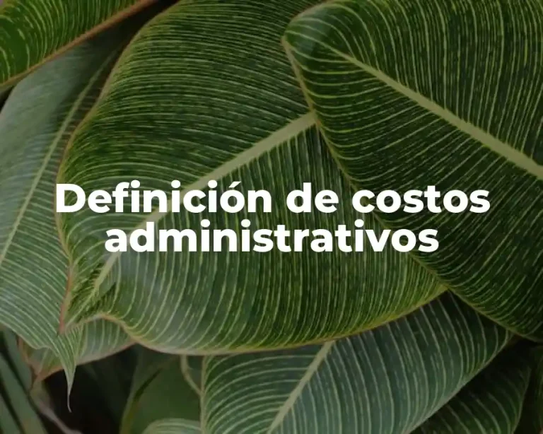 Definición de costos administrativos