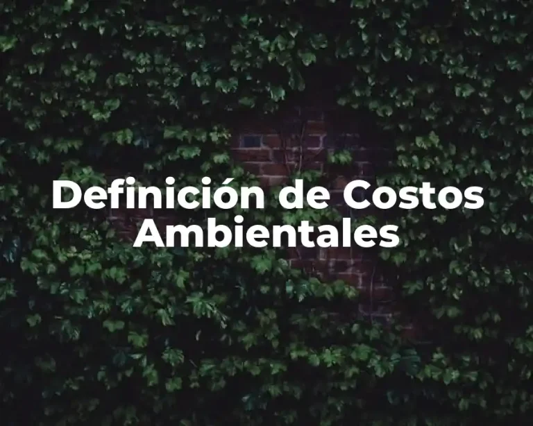 Definición de Costos Ambientales