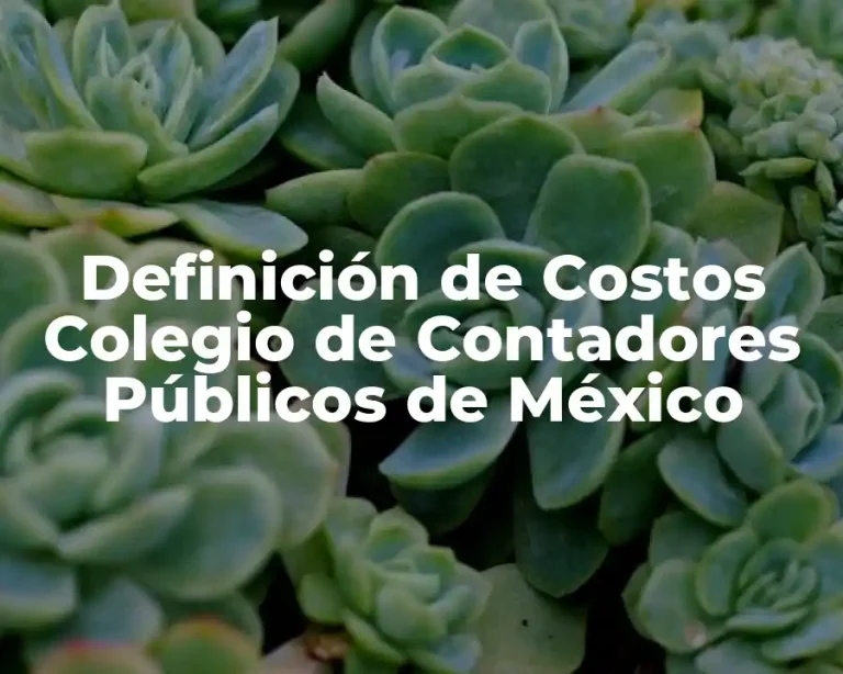 Definición de Costos Colegio de Contadores Públicos de México