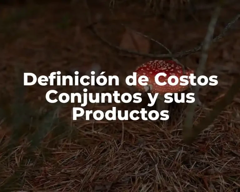 Definición de Costos Conjuntos y sus Productos