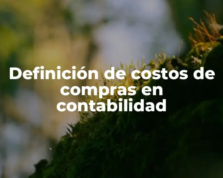 Definición de costos de compras en contabilidad