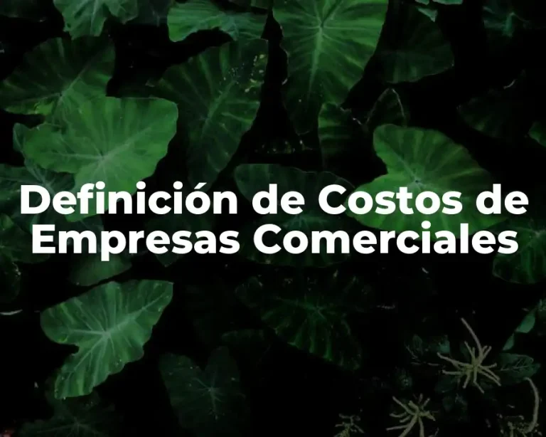 Definición de Costos de Empresas Comerciales