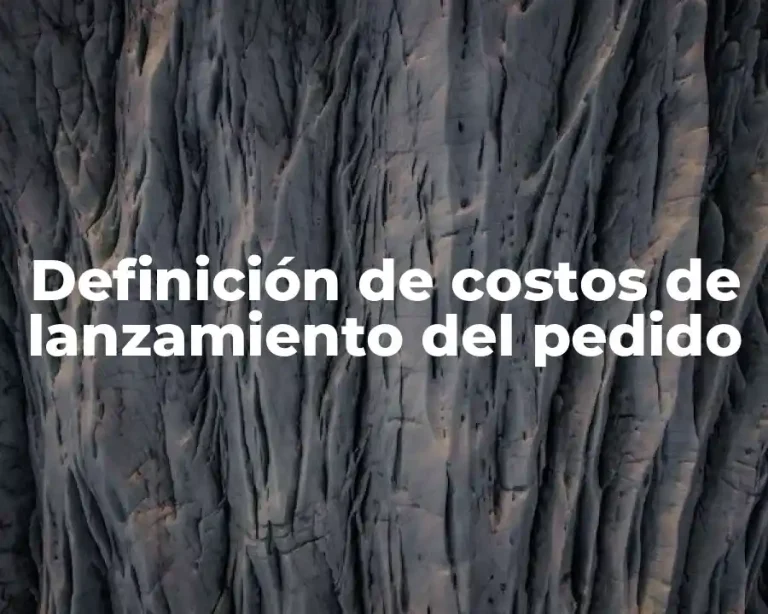 Definición de costos de lanzamiento del pedido