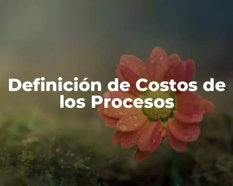 Definición de Costos de los Procesos