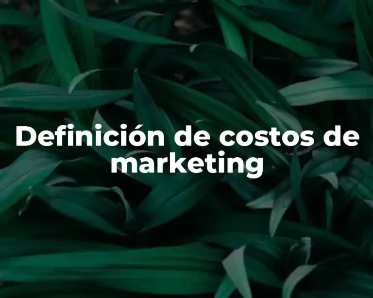 Definición de costos de marketing