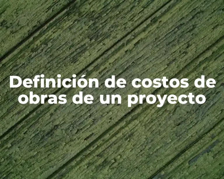 Definición de costos de obras de un proyecto