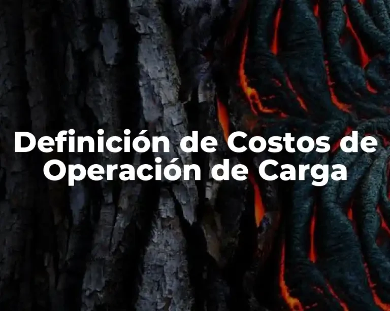 Definición de Costos de Operación de Carga
