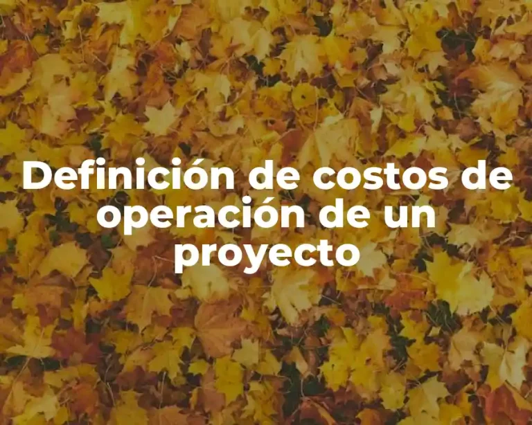 Definición de costos de operación de un proyecto