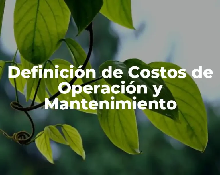 Definición de Costos de Operación y Mantenimiento
