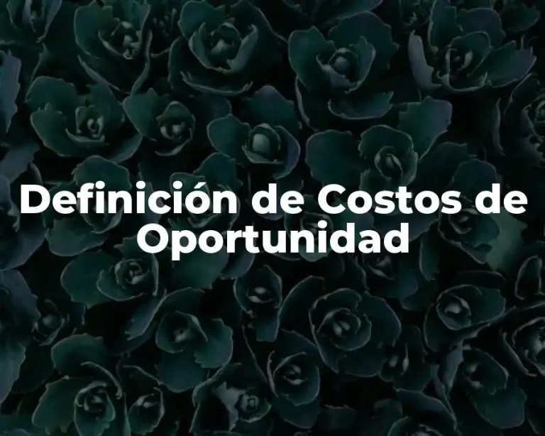 Definición de Costos de Oportunidad
