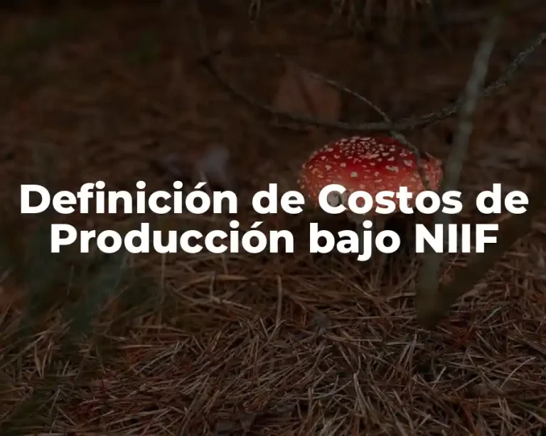Definición de Costos de Producción bajo NIIF