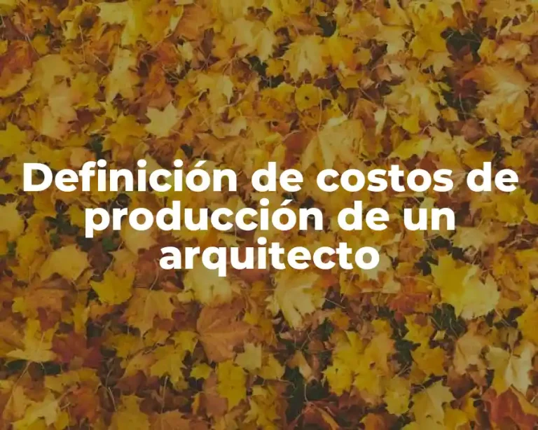 Definición de costos de producción de un arquitecto
