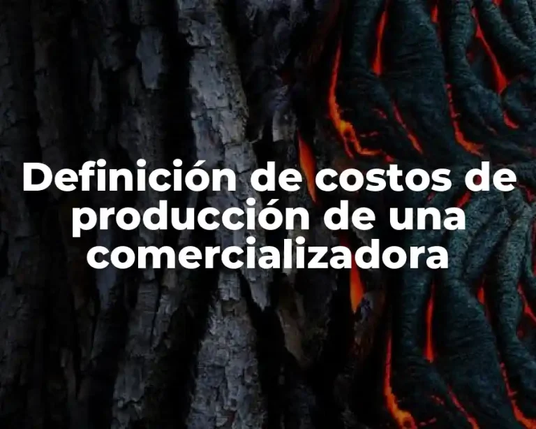Definición de costos de producción de una comercializadora