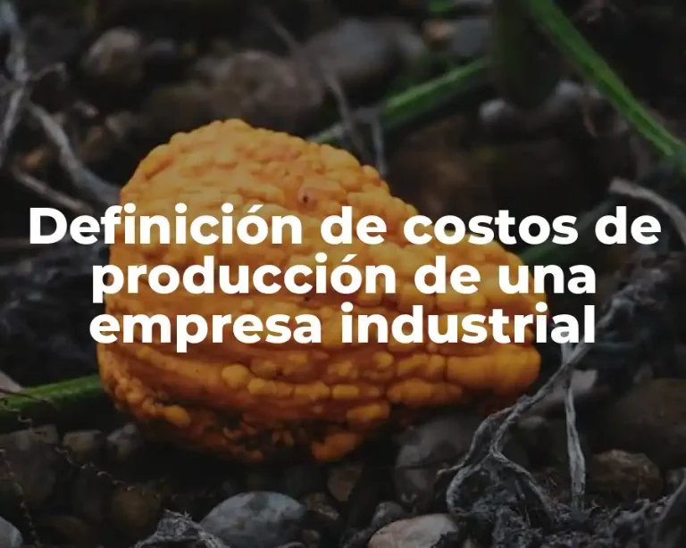 Definición de costos de producción de una empresa industrial