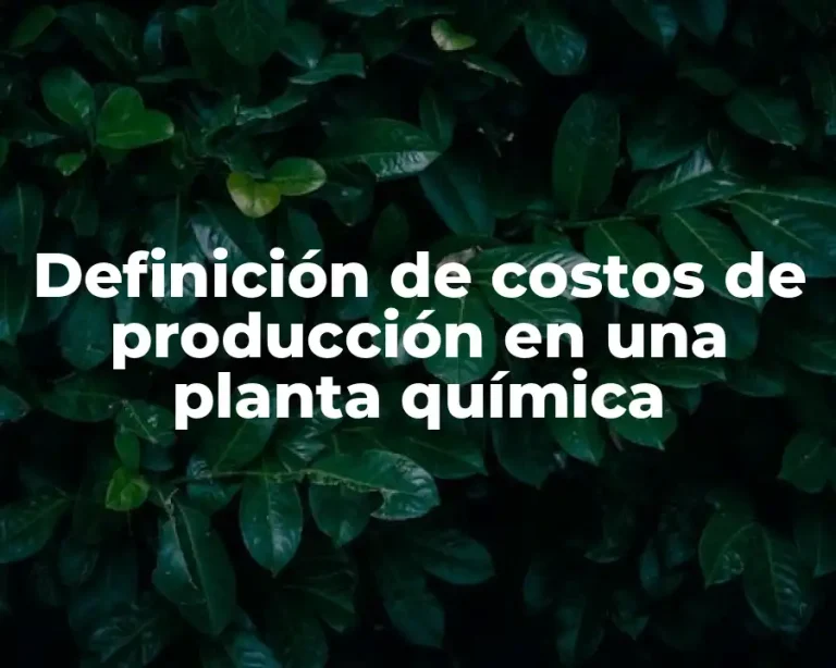 Definición de costos de producción en una planta química