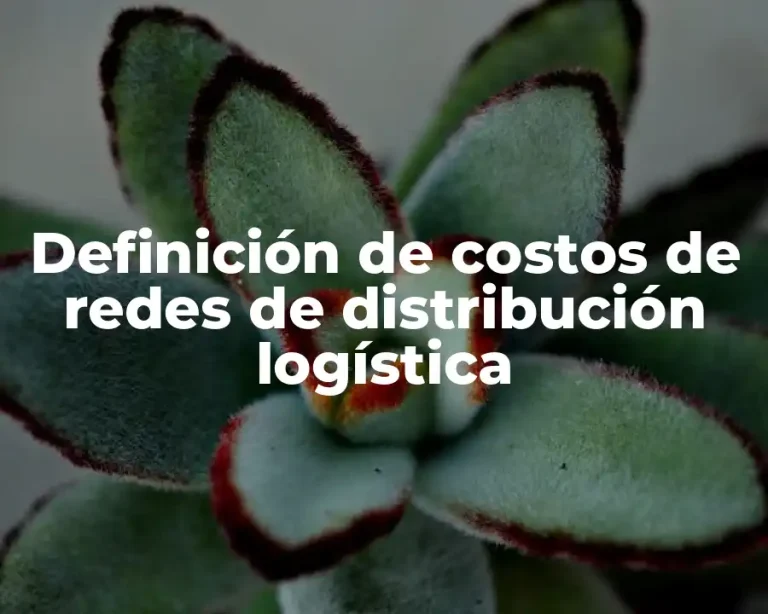 Definición de costos de redes de distribución logística