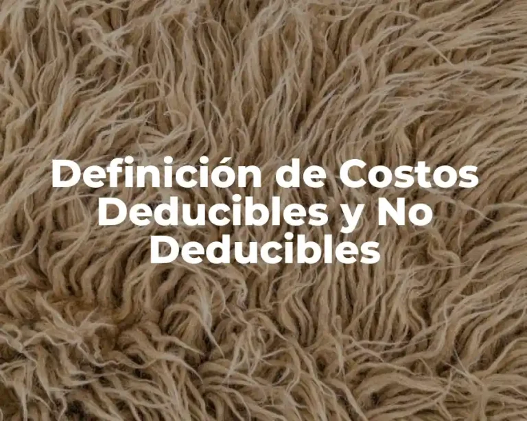 Definición de Costos Deducibles y No Deducibles