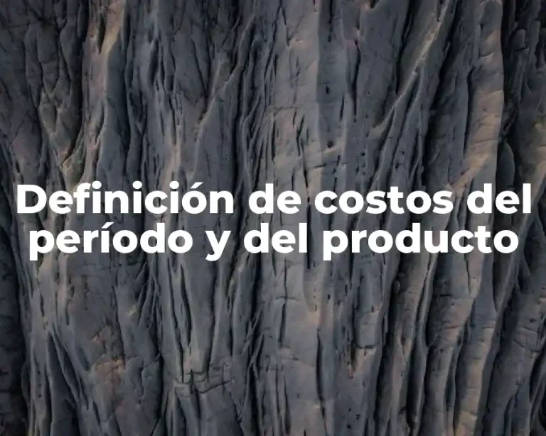 Definición de costos del período y del producto