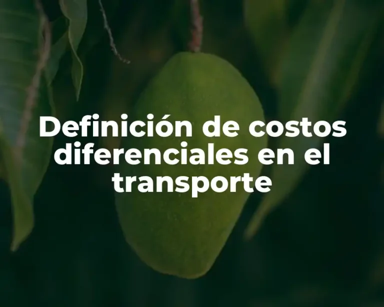 Definición de costos diferenciales en el transporte