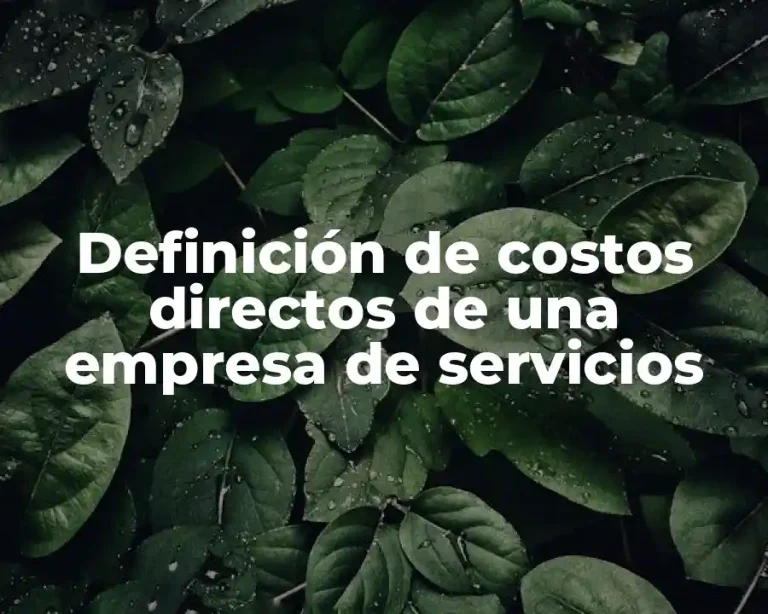 Definición de costos directos de una empresa de servicios