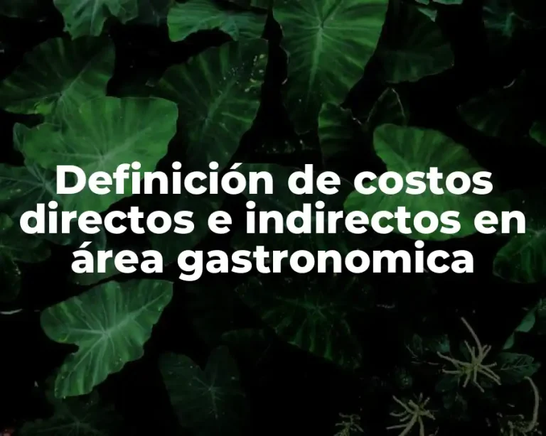Definición de costos directos e indirectos en área gastronomica