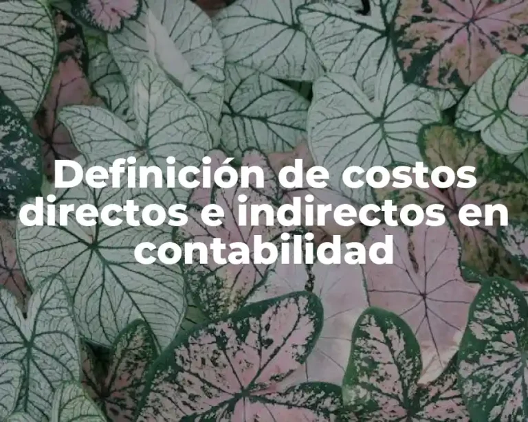 Definición de costos directos e indirectos en contabilidad