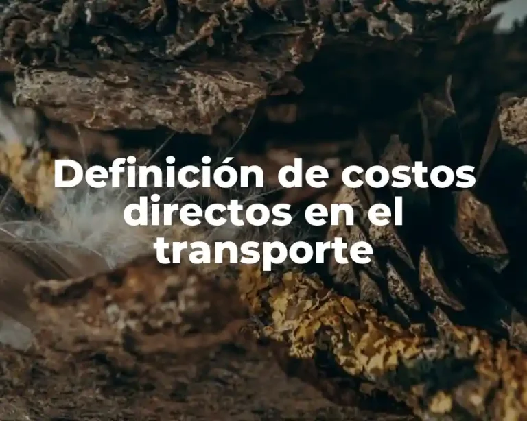 Definición de costos directos en el transporte