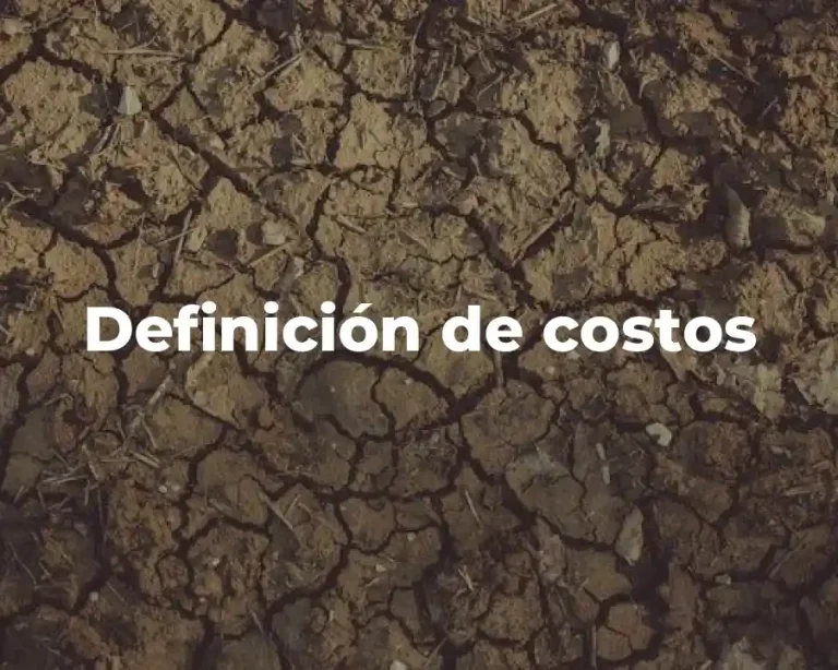 Definición de costos