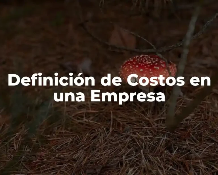 Definición de Costos en una Empresa