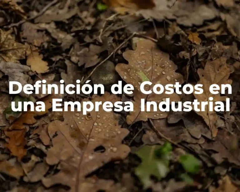 Definición de Costos en una Empresa Industrial