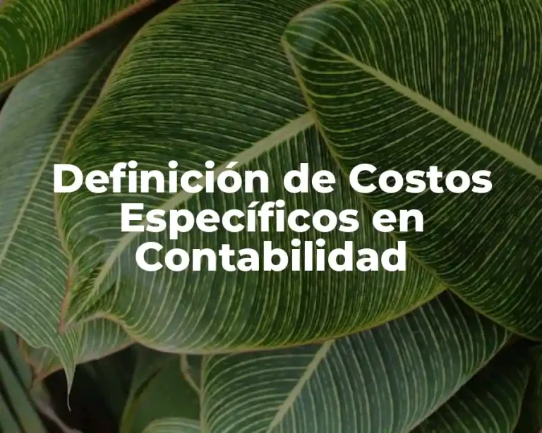 Definición de Costos Específicos en Contabilidad