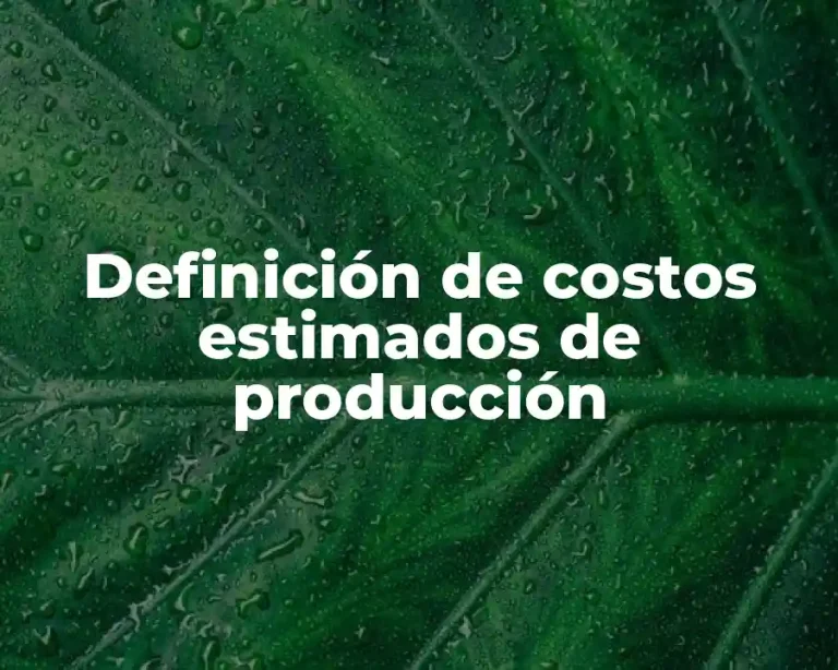 Definición de costos estimados de producción