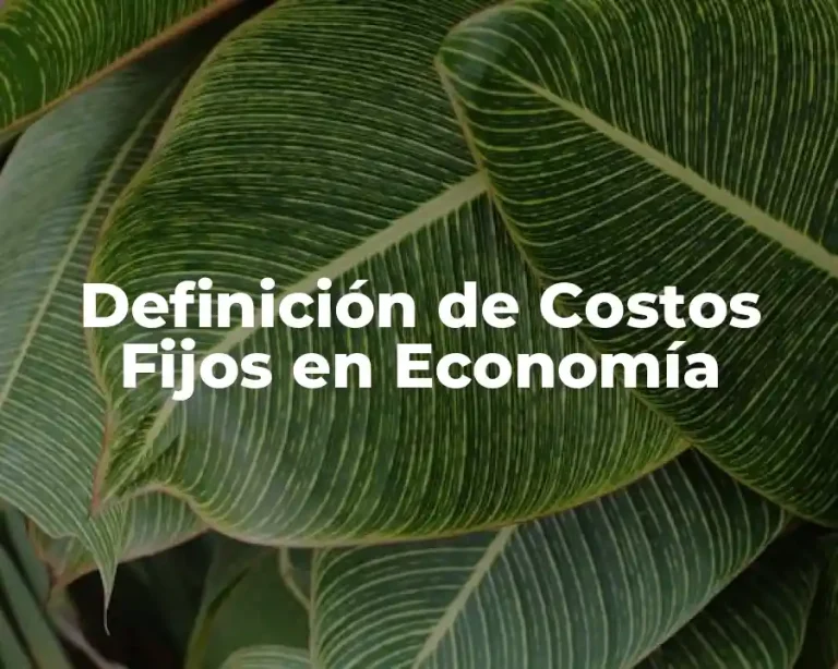Definición de Costos Fijos en Economía